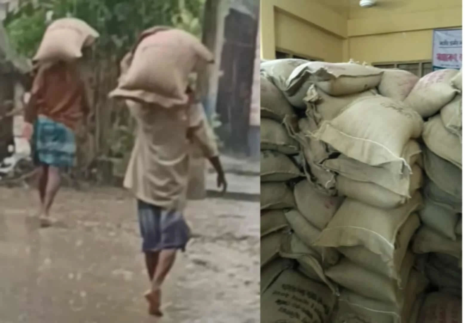 শার্শায় বিএনপি কর্মীদের বিরুদ্ধে সরকারি চাল ছিনিয়ে নেওয়ার অভিযোগ